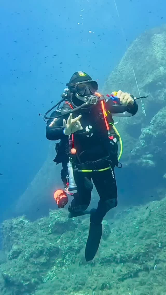 Pas facile d’apprendre à tenir un palier 😉

📅 Je suis à Campomoro (Corse du Sud) jusqu’au 4 août

Puis à St-Mandrier (Var) du 19 au 28 septembre

Mes séjours sont ouverts à tous, que tu sois totalement débutant ou déjà plongeur.

🌟🌟🌟
J’accompagne grâce à la plongée, ceux qui veulent gérer leur stress, gagner en confiance et se reconnecter à eux-mêmes .
Sous l’eau, on respire vraiment. Et souvent, on se retrouve.
🌟🌟🌟

#plongeesousmarine #relaxation #gestiondustress