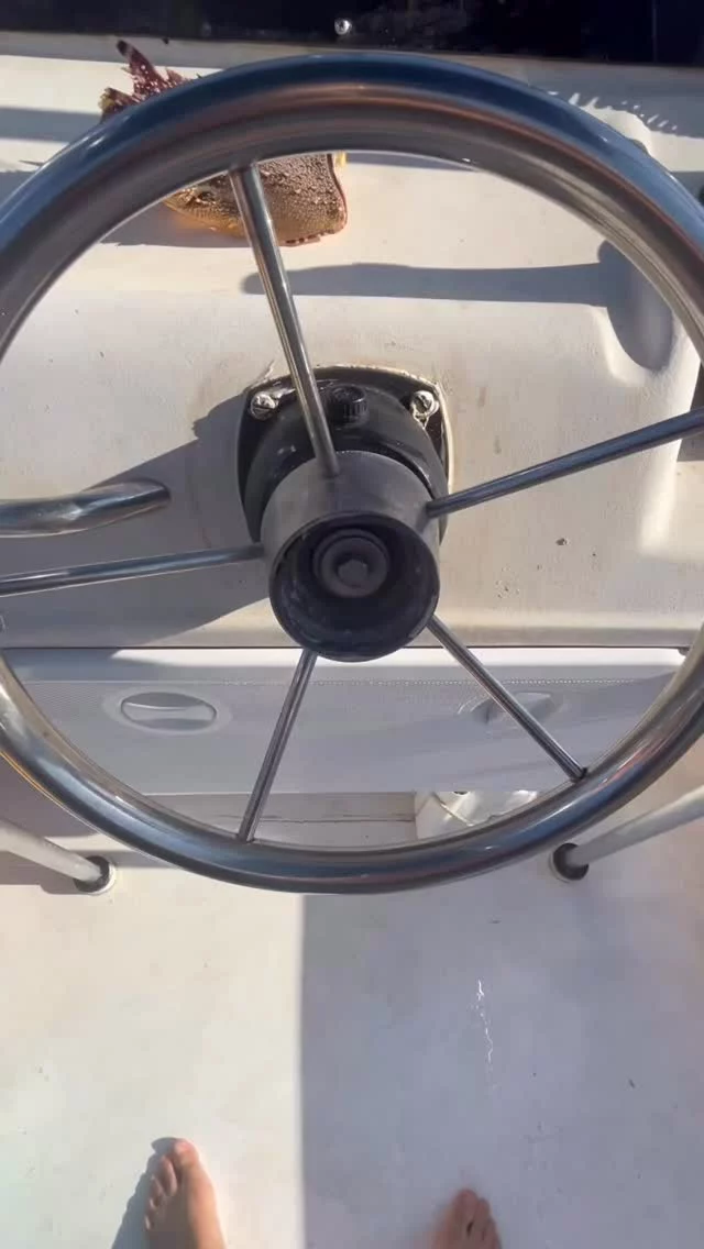La mise à l’eau, c’est pas juste un geste technique.
C’est le moment où tu quittes la surface et l’air pour rentrer dans le monde aquatique
C’est une transition. Plus tout à fait sur terre, pas encore dans l’eau
Ça amène souvent un peu de stress “vais-je y arriver ?”

La façon dont on va dans l’eau dépend du bateau

🚤 Depuis un zodiac, on utilise principalement la bascule arrière. Ça donne un petit côté commando 😀

Perso je préfère la bascule avant, c’est une sorte de roulade qui me permet de voir ou je vais. J’aime bien 😌

📅 Je suis  à Campomoro (Corse du Sud) jusqu’au 4 août 

Puis à St-Mandrier (Var) du 19 au 28 septembre

Mes séjours sont ouverts à tous, que tu sois totalement débutant ou déjà plongeur.

🌟🌟🌟
J’accompagne grâce à la plongée, ceux qui veulent gérer leur stress, gagner en confiance.
Sous l’eau, on apprend à respirer vraiment pour enfin se connecter à soi
🌟🌟🌟

#