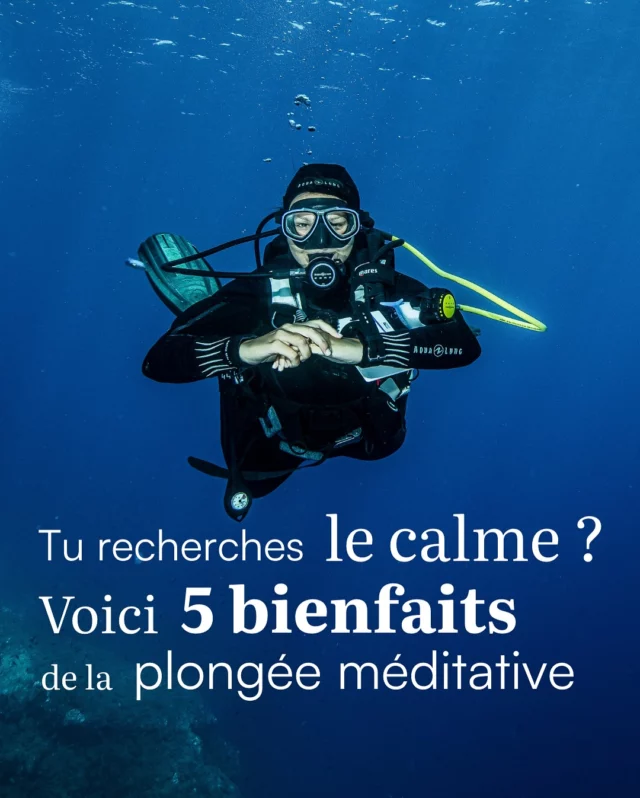 La plongée méditative, c’est l’alliance parfaite entre la relaxation et l’exploration sous-marine.
🫁 En te concentrant sur ta respiration et en te laissant porter par la mer, tu apprends à apaiser ton esprit et à retrouver un équilibre émotionnel.

🧘🏻‍♀️ Tu vas te sentir automatiquement dans l’instant présent, sans les pensées parasites habituelles.
Sous l’eau, le stress et l’anxiété s’évaporent, laissant place à une sensation de sérénité profonde. 🧘‍♀️🐠

🧙🏻 Ce qui est encore plus magique c’est que ça dure une fois sorti de l’eau

📅 Je suis à Campomoro (Corse du Sud) jusqu’au 4 août

Puis à St-Mandrier (Var) du 19 au 28 septembre

Mes séjours sont ouverts à tous, que tu sois totalement débutant ou déjà plongeur.

🌟🌟🌟
J’accompagne grâce à la plongée, ceux qui veulent gérer leur stress, gagner en confiance et se reconnecter à eux-mêmes .
Sous l’eau, on respire vraiment. Et souvent, on se retrouve.
🌟🌟🌟