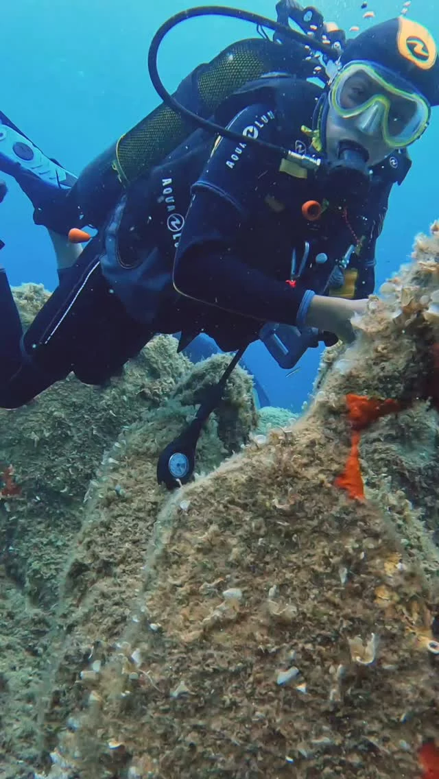 J’ai retrouvé Malo. 
C’est un jeune plongeur avec lequel je plonge régulièrement l’été en Corse où il vient passer des vacances avec son frère et son papa.

🥇 Cette année il a validé son Niveau 1 avec moi.

Je lui ai également fait découvrir mon petit plongeur à pédales 😉😊

📅 Je suis à Campomoro (Corse du Sud) jusqu’au 4 août

Puis à St-Mandrier (Var) du 19 au 28 septembre

Mes séjours sont ouverts à tous, que tu sois totalement débutant ou déjà plongeur.

🌟🌟🌟
J’accompagne grâce à la plongée, ceux qui veulent gérer leur stress, gagner en confiance et se reconnecter à eux-mêmes .
Sous l’eau, on respire vraiment. Et souvent, on se retrouve.
🌟🌟🌟