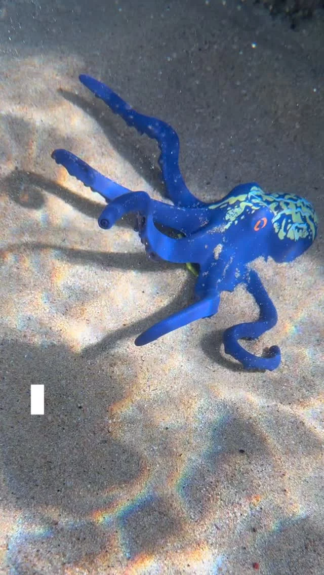 Parler plongée sans forcément se prendre au sérieux, ça vous tente ?

📅 Je suis à Campomoro (Corse du Sud) jusqu’au 4 août

Puis à St-Mandrier (Var) du 19 au 28 septembre

Mes séjours sont ouverts à tous, que tu sois totalement débutant ou déjà plongeur.

🌟🌟🌟
J’accompagne grâce à la plongée, ceux qui veulent gérer leur stress, gagner en confiance et se reconnecter à eux-mêmes .
Sous l’eau, on respire vraiment. Et souvent, on se retrouve.
🌟🌟🌟

Quelle team?